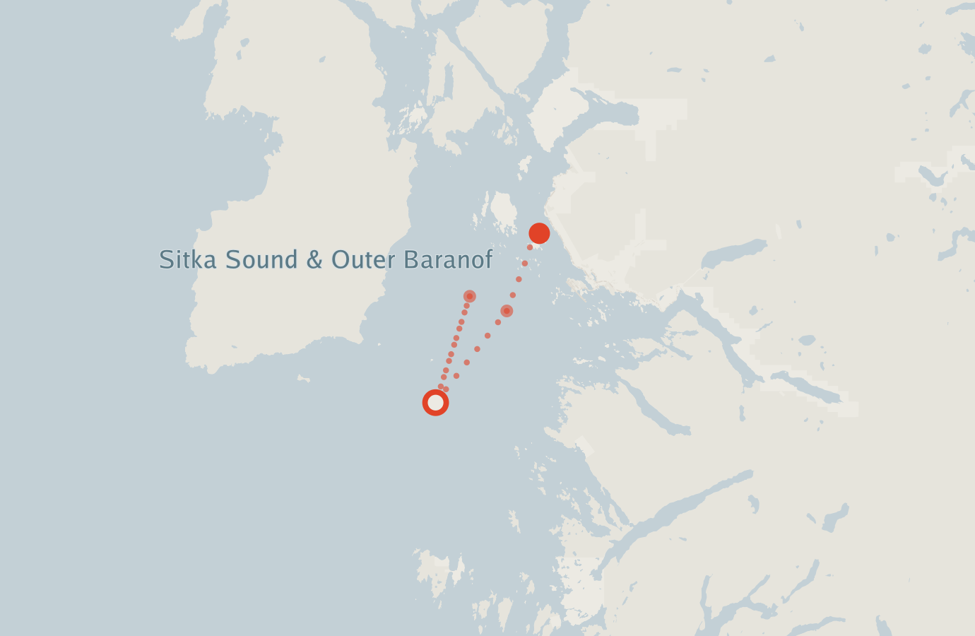 Activity map — real sighting points on an OpenStreetMap basemap