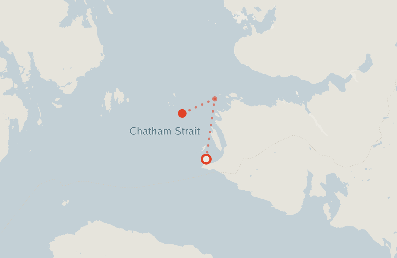 Activity map — real sighting points on an OpenStreetMap basemap