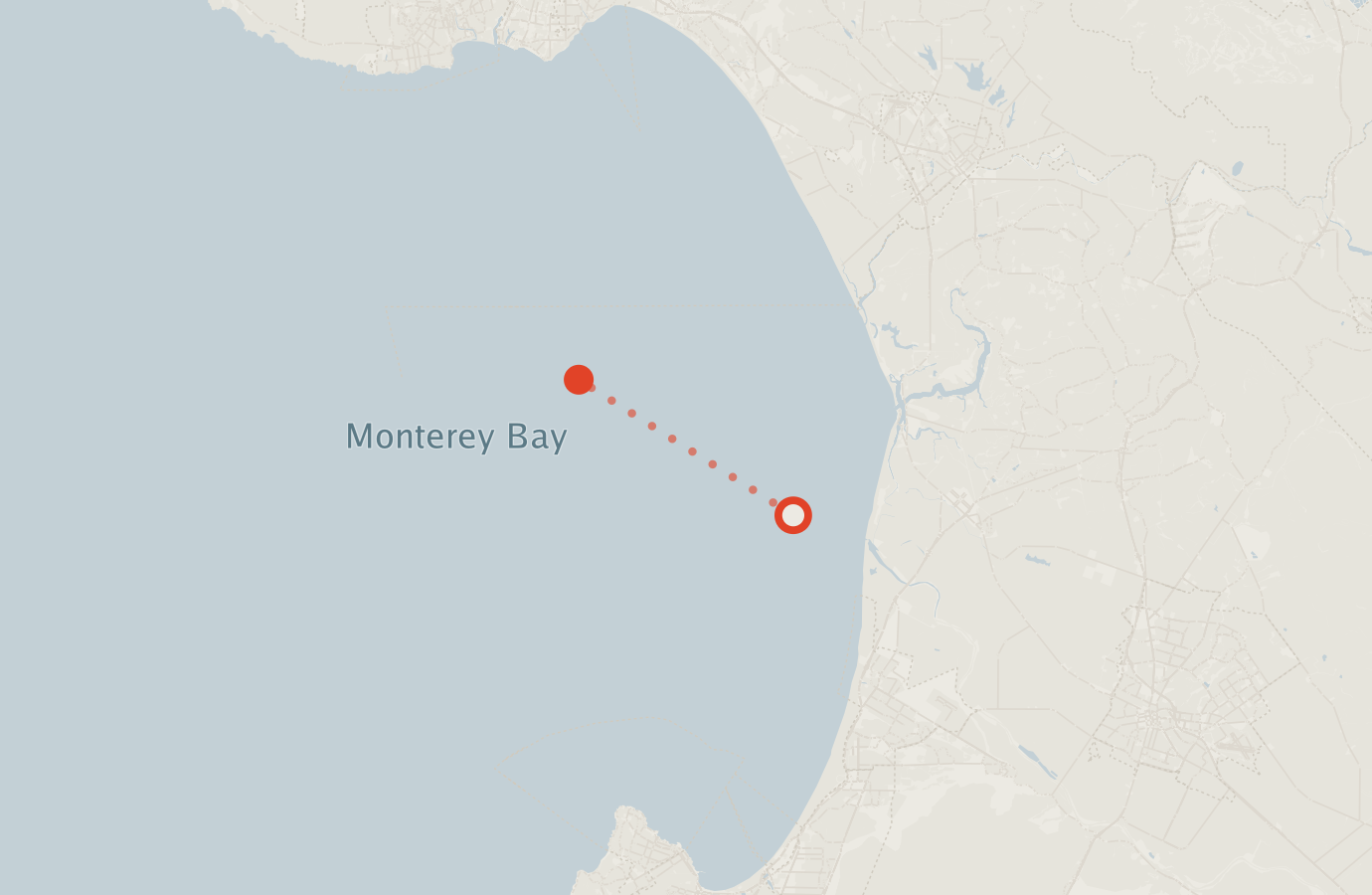Activity map — real sighting points on an OpenStreetMap basemap