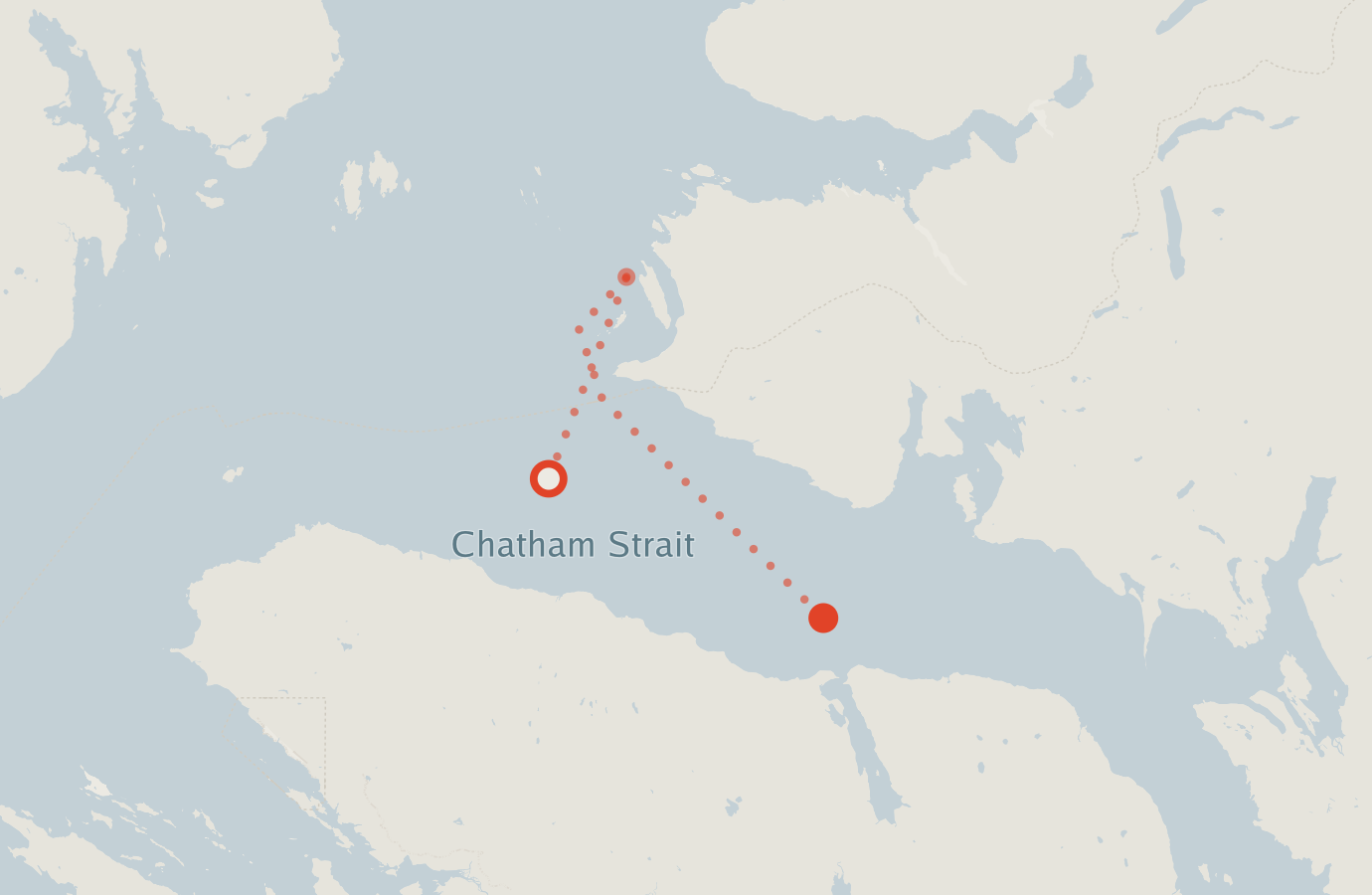 Activity map — real sighting points on an OpenStreetMap basemap