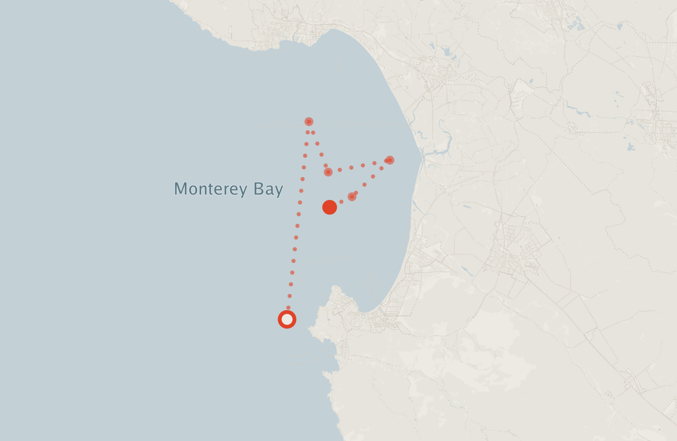Activity map — real sighting points on an OpenStreetMap basemap
