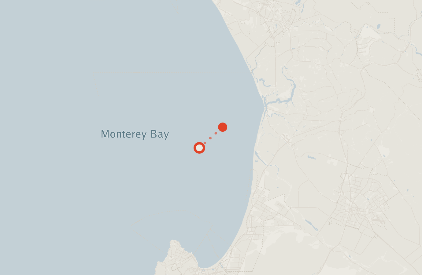 Activity map — real sighting points on an OpenStreetMap basemap
