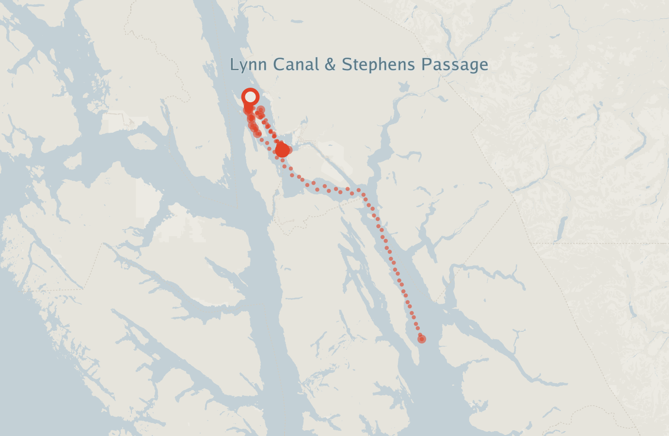 Activity map — real sighting points on an OpenStreetMap basemap