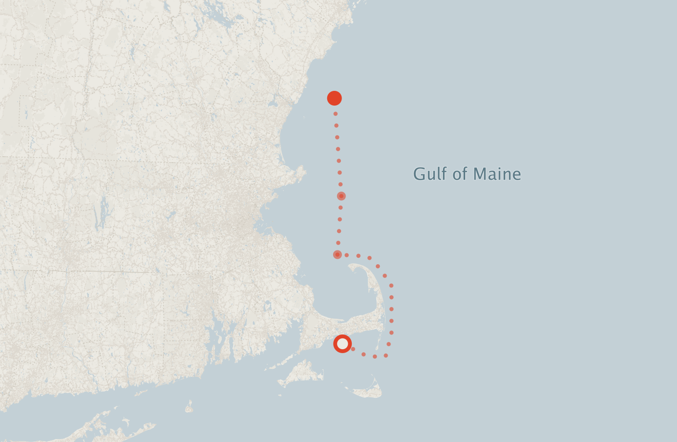 Activity map — real sighting points on an OpenStreetMap basemap