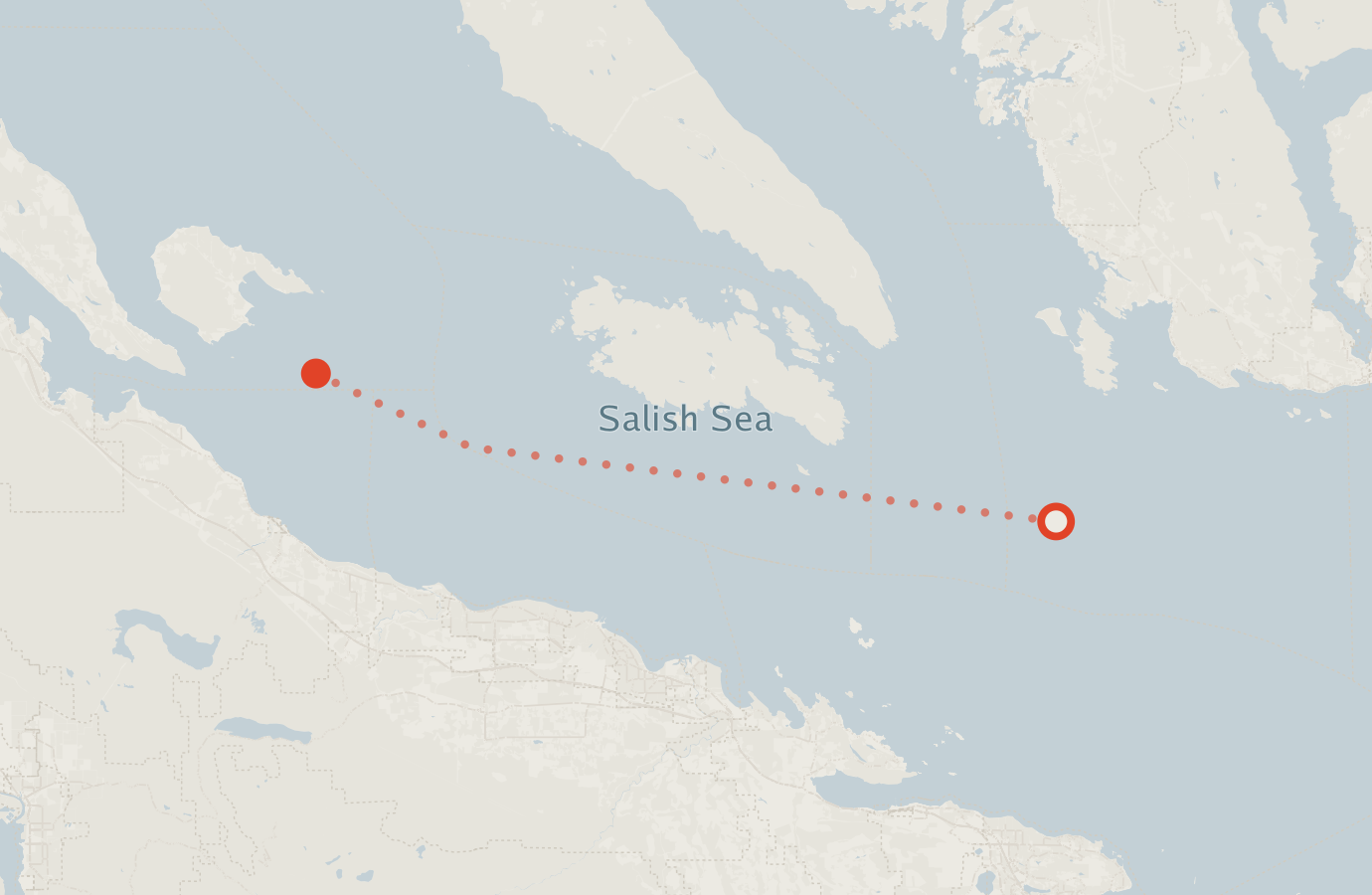 Activity map — real sighting points on an OpenStreetMap basemap