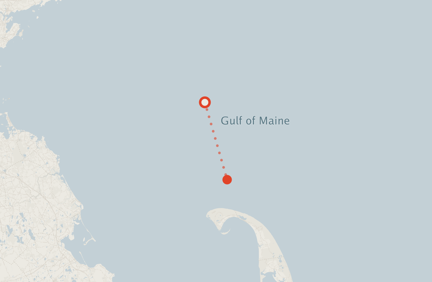 Activity map — real sighting points on an OpenStreetMap basemap