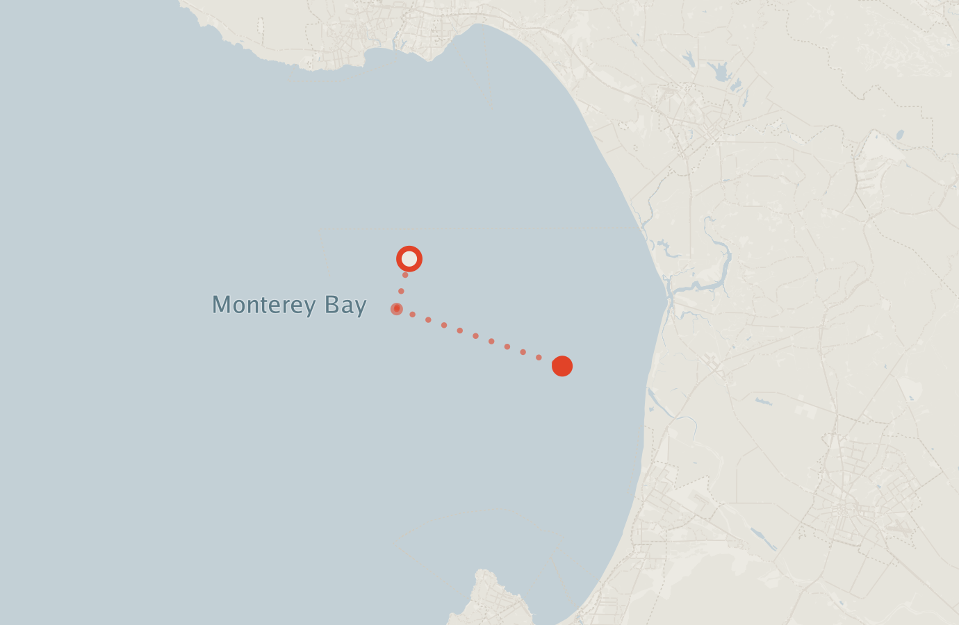 Activity map — real sighting points on an OpenStreetMap basemap