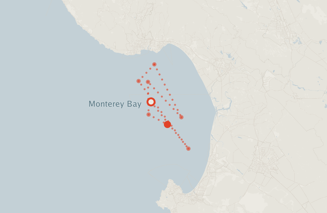 Activity map — real sighting points on an OpenStreetMap basemap