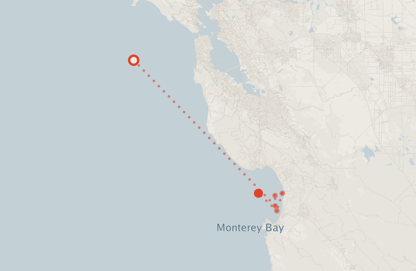 Activity map — real sighting points on an OpenStreetMap basemap