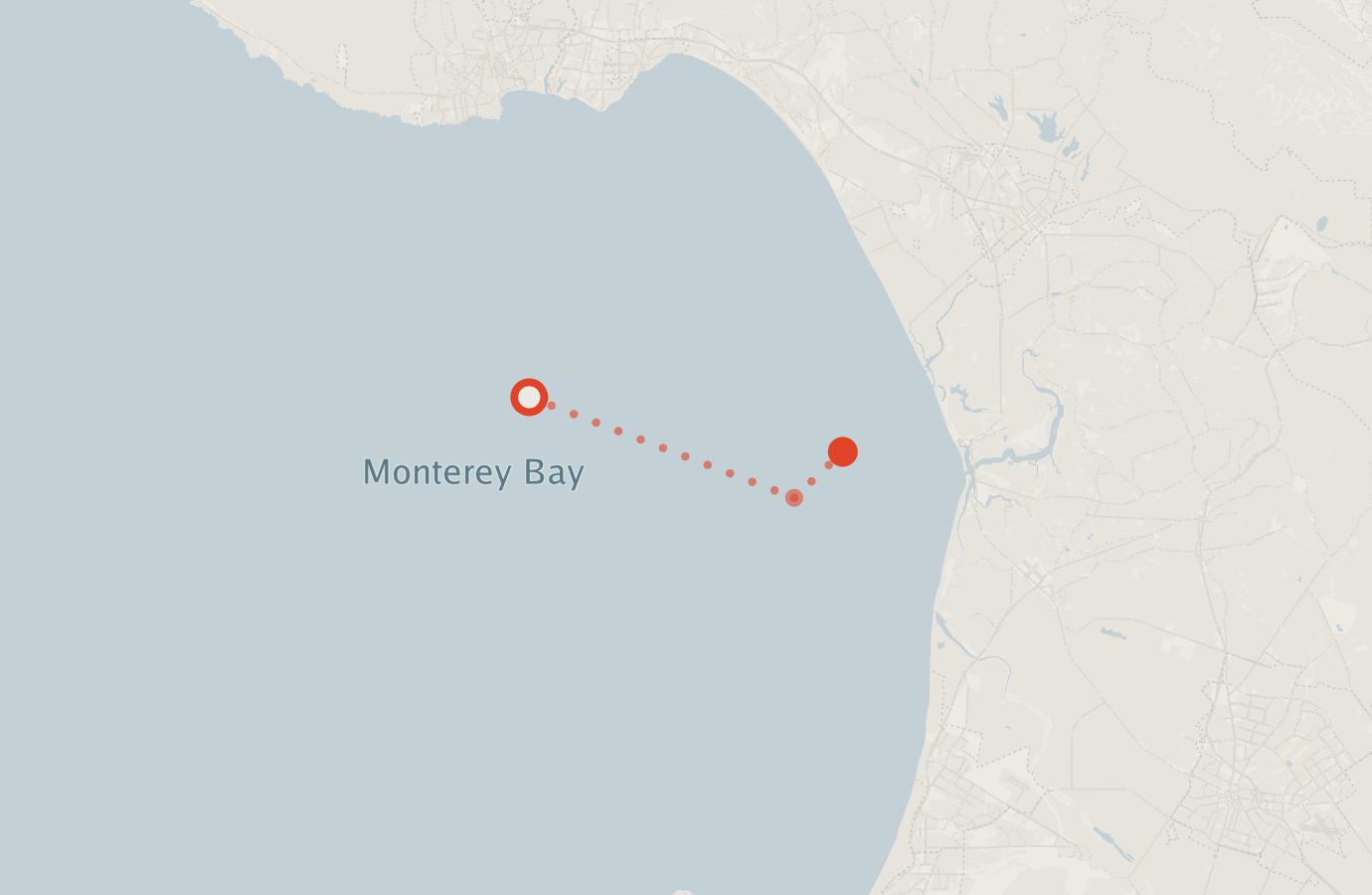 Activity map — real sighting points on an OpenStreetMap basemap