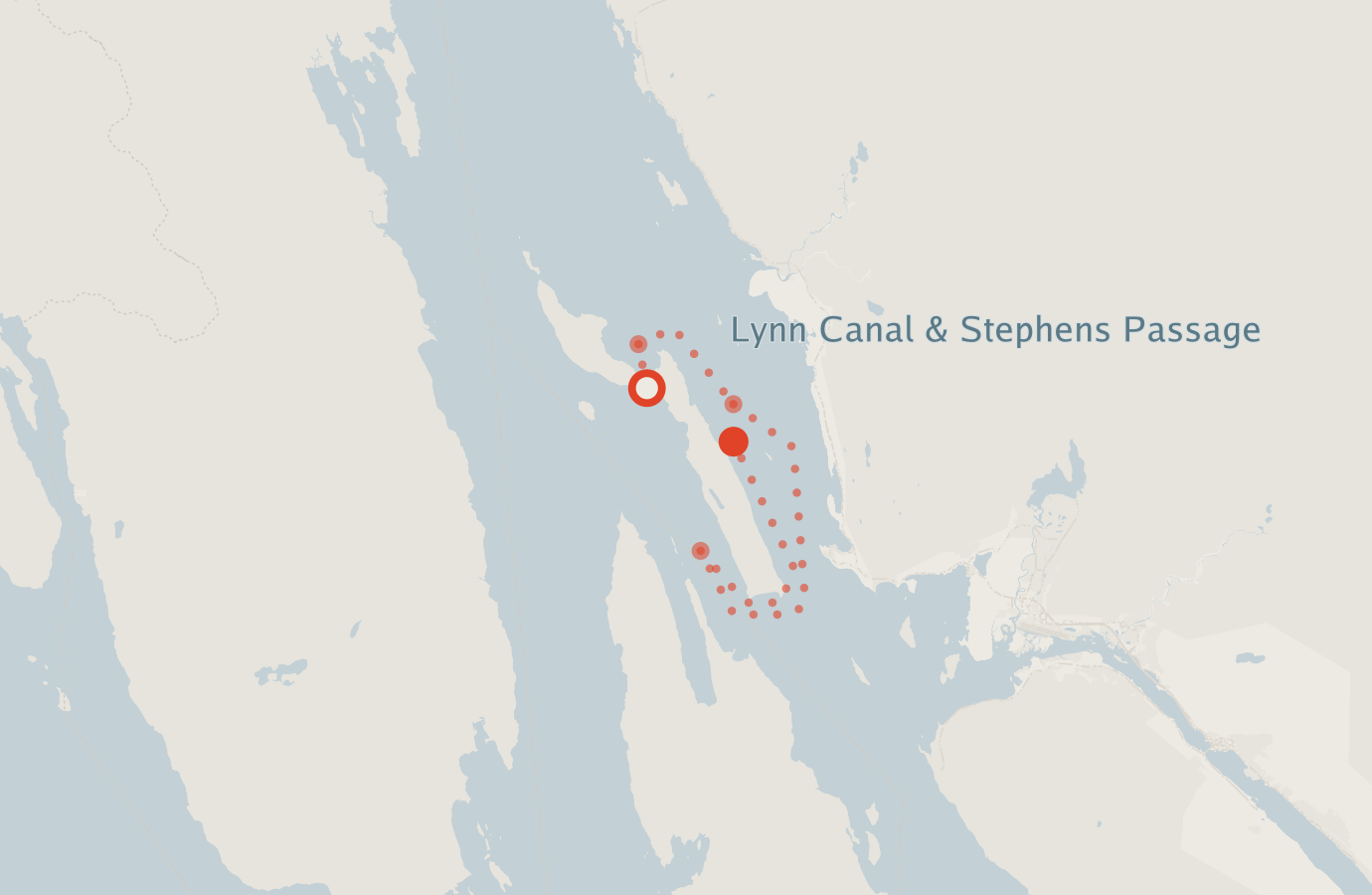 Activity map — real sighting points on an OpenStreetMap basemap