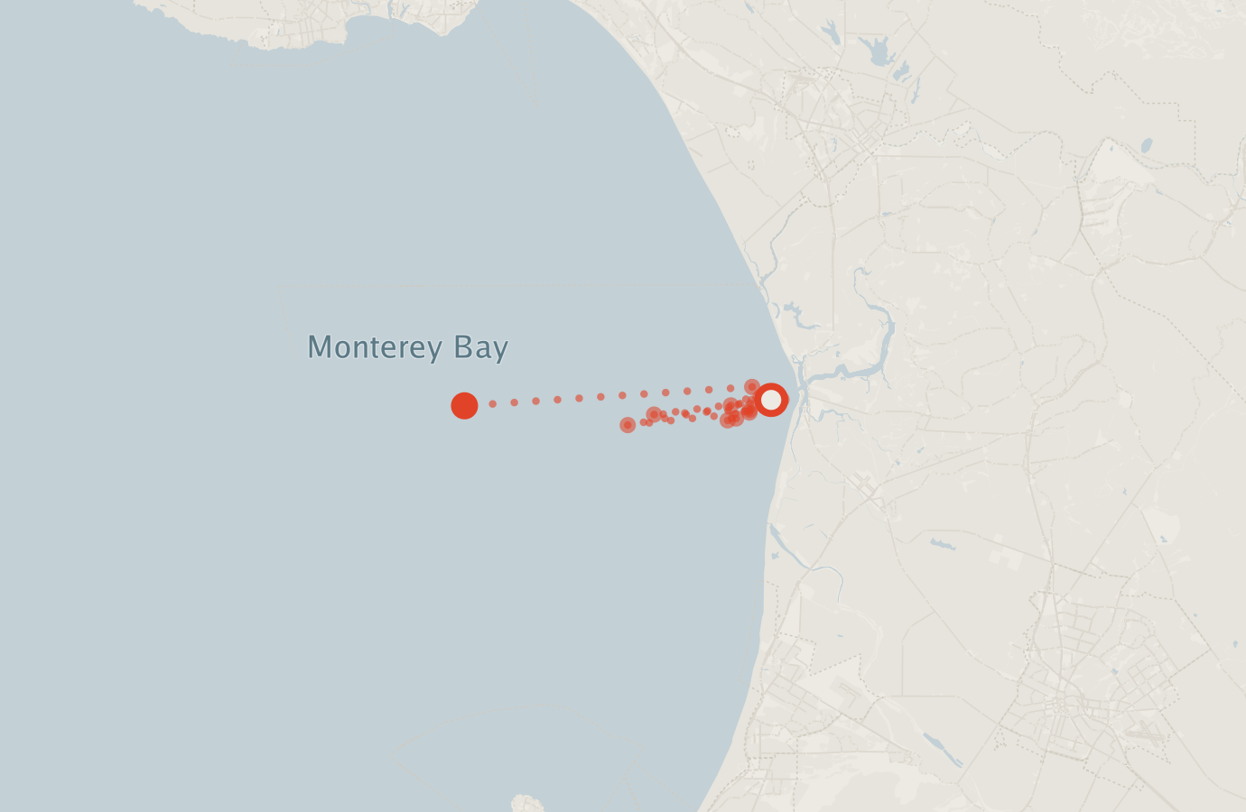 Activity map — real sighting points on an OpenStreetMap basemap