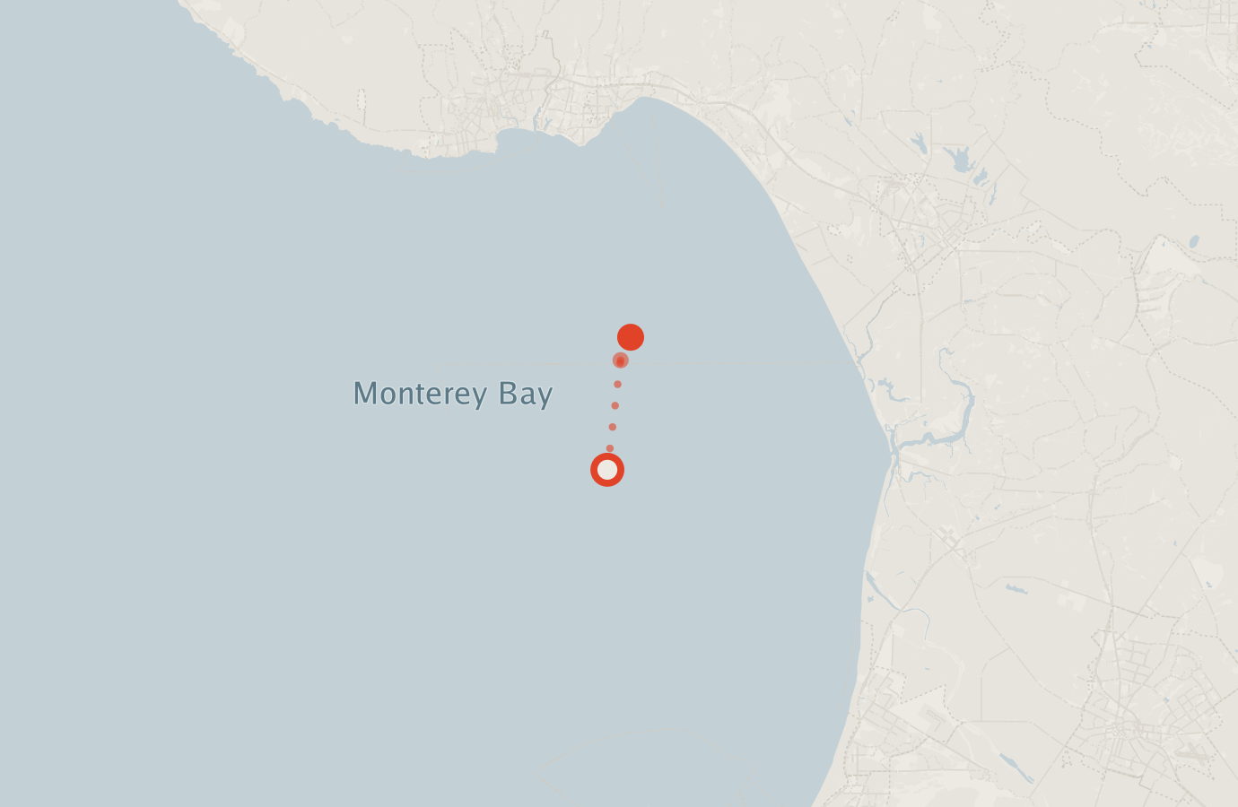Activity map — real sighting points on an OpenStreetMap basemap