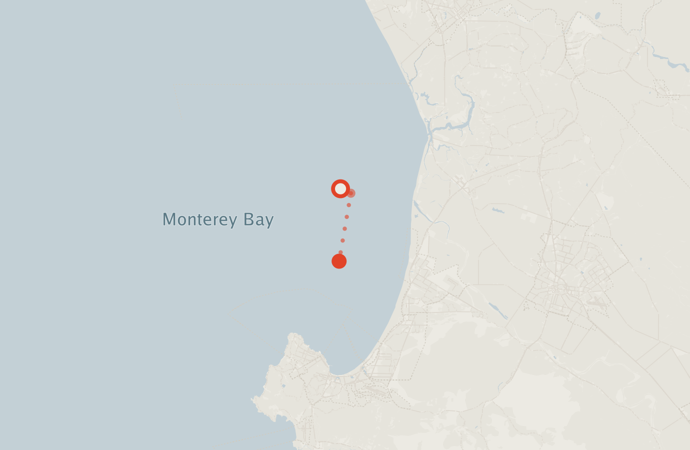Activity map — real sighting points on an OpenStreetMap basemap