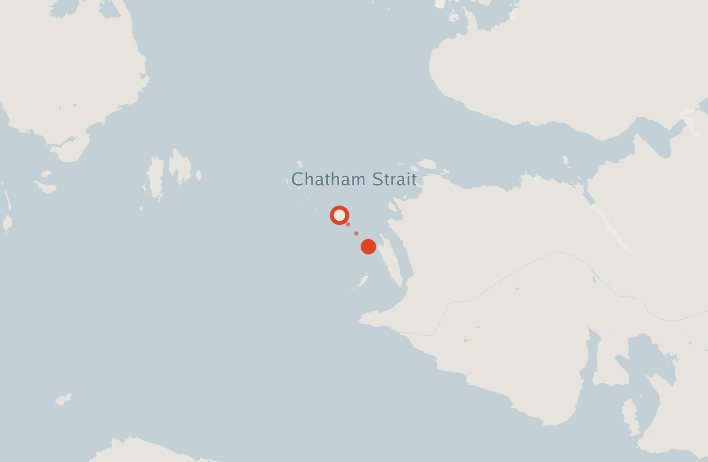 Activity map — real sighting points on an OpenStreetMap basemap