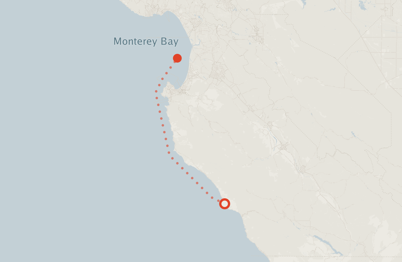 Activity map — real sighting points on an OpenStreetMap basemap