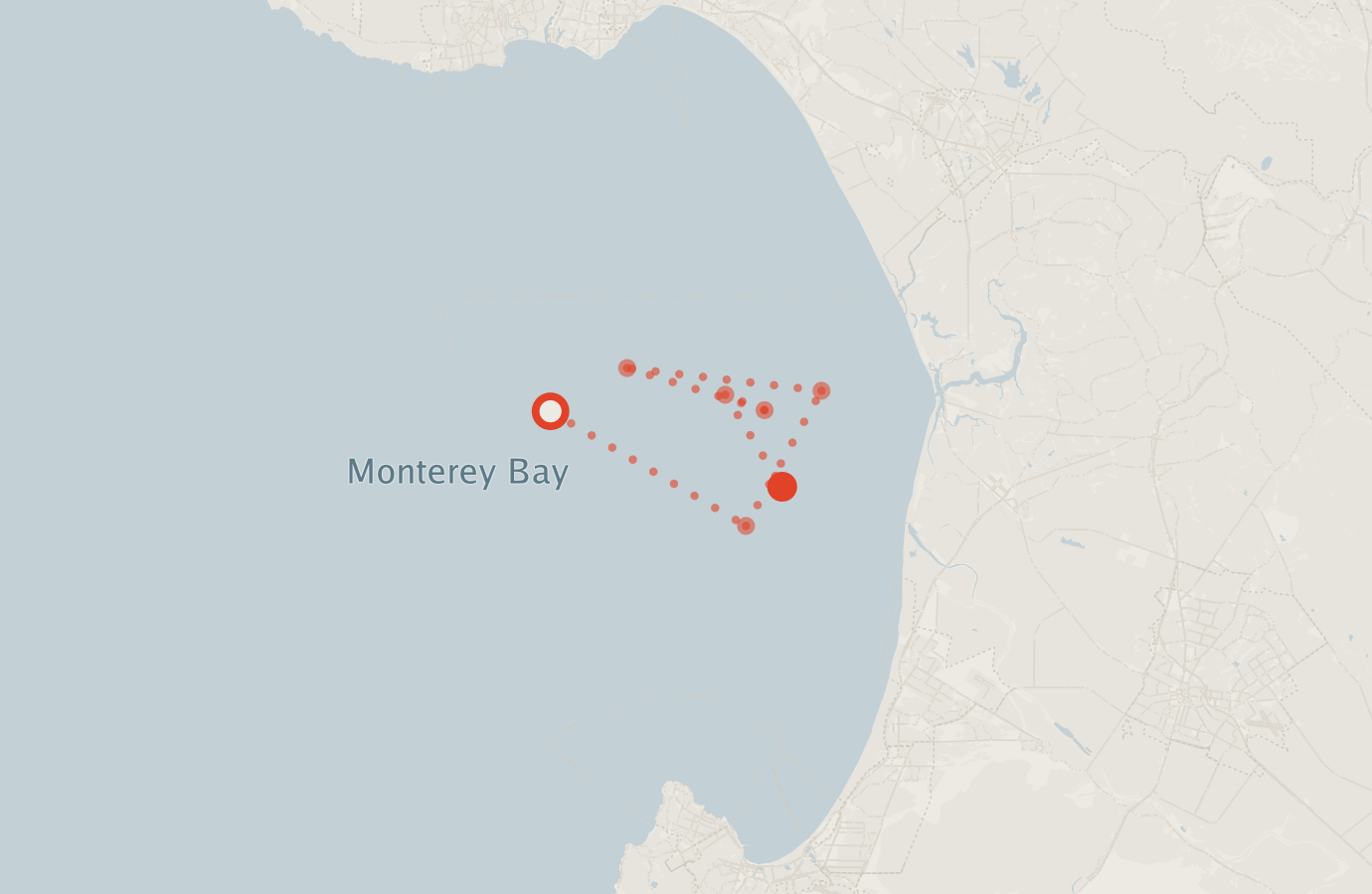 Activity map — real sighting points on an OpenStreetMap basemap