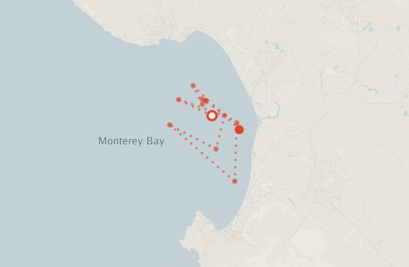 Activity map — real sighting points on an OpenStreetMap basemap