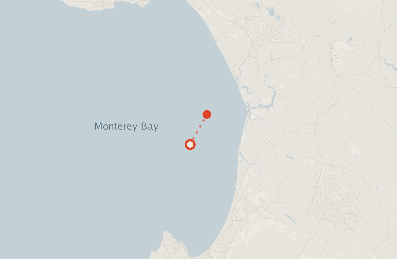 Activity map — real sighting points on an OpenStreetMap basemap