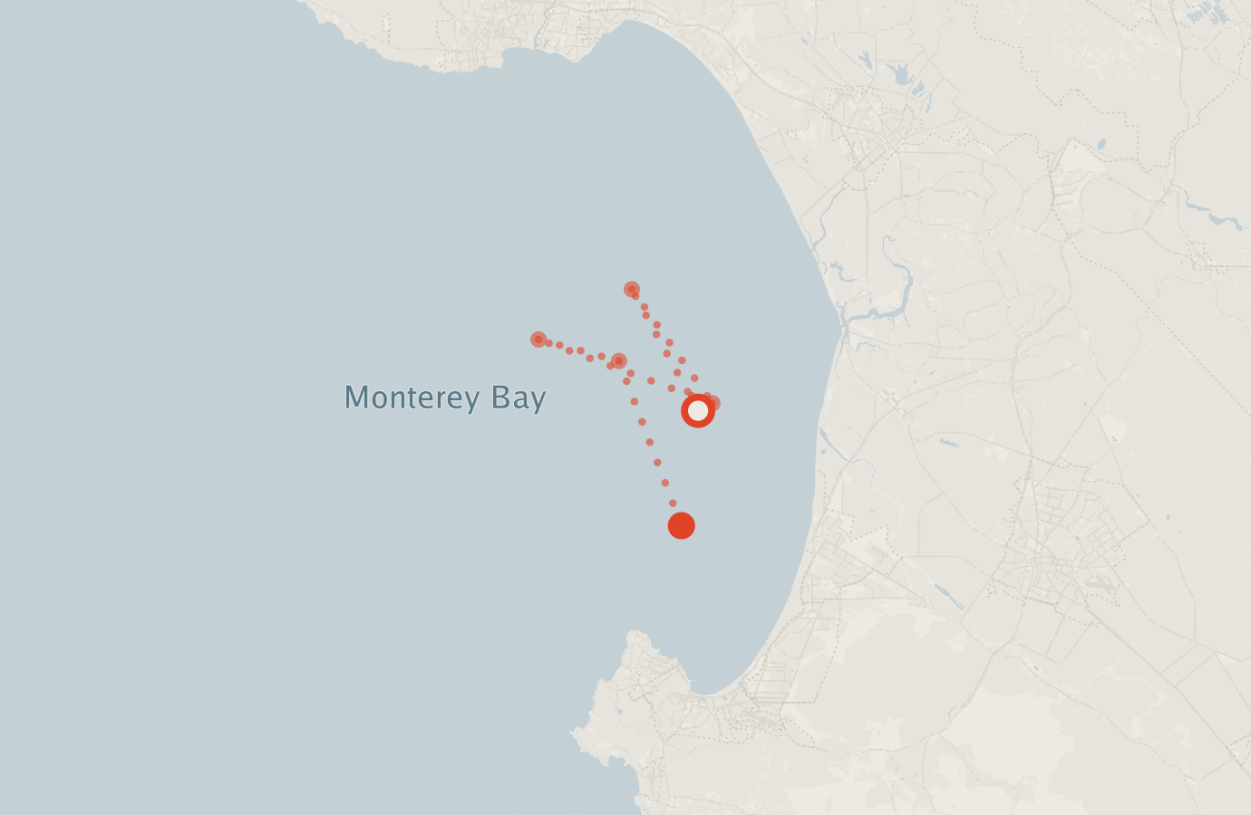 Activity map — real sighting points on an OpenStreetMap basemap