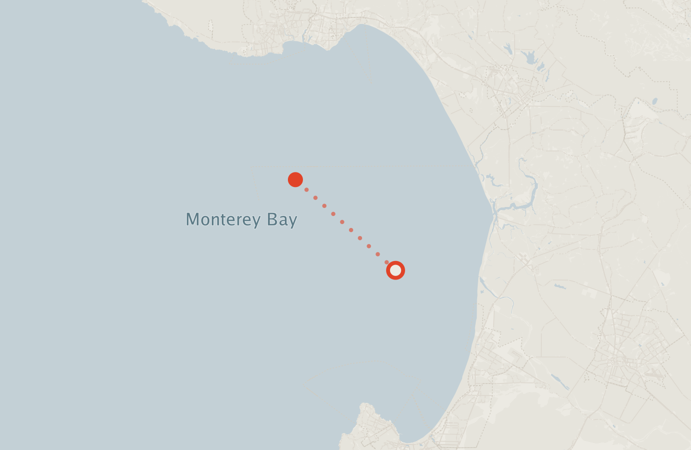 Activity map — real sighting points on an OpenStreetMap basemap
