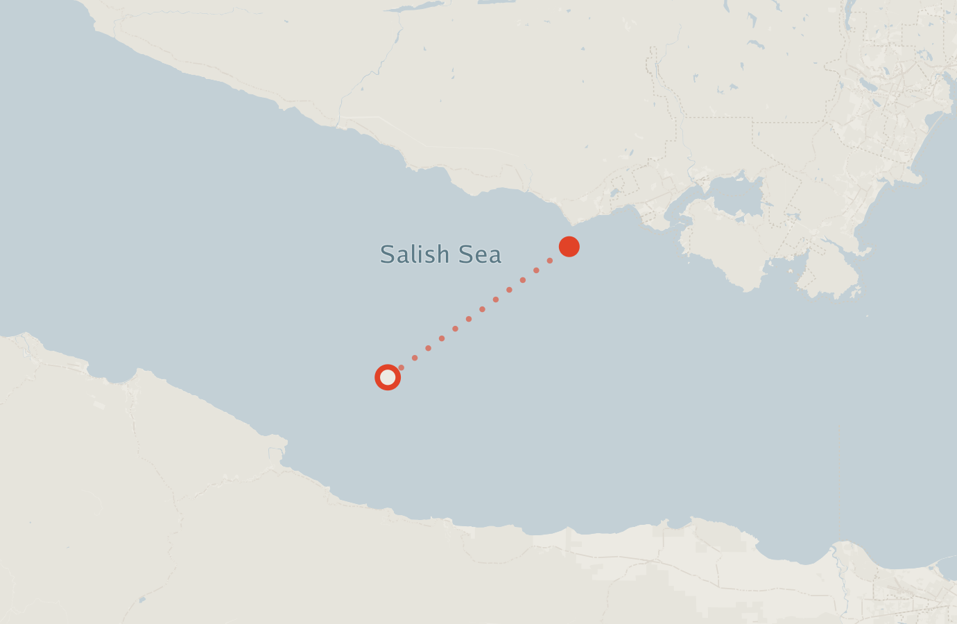 Activity map — real sighting points on an OpenStreetMap basemap