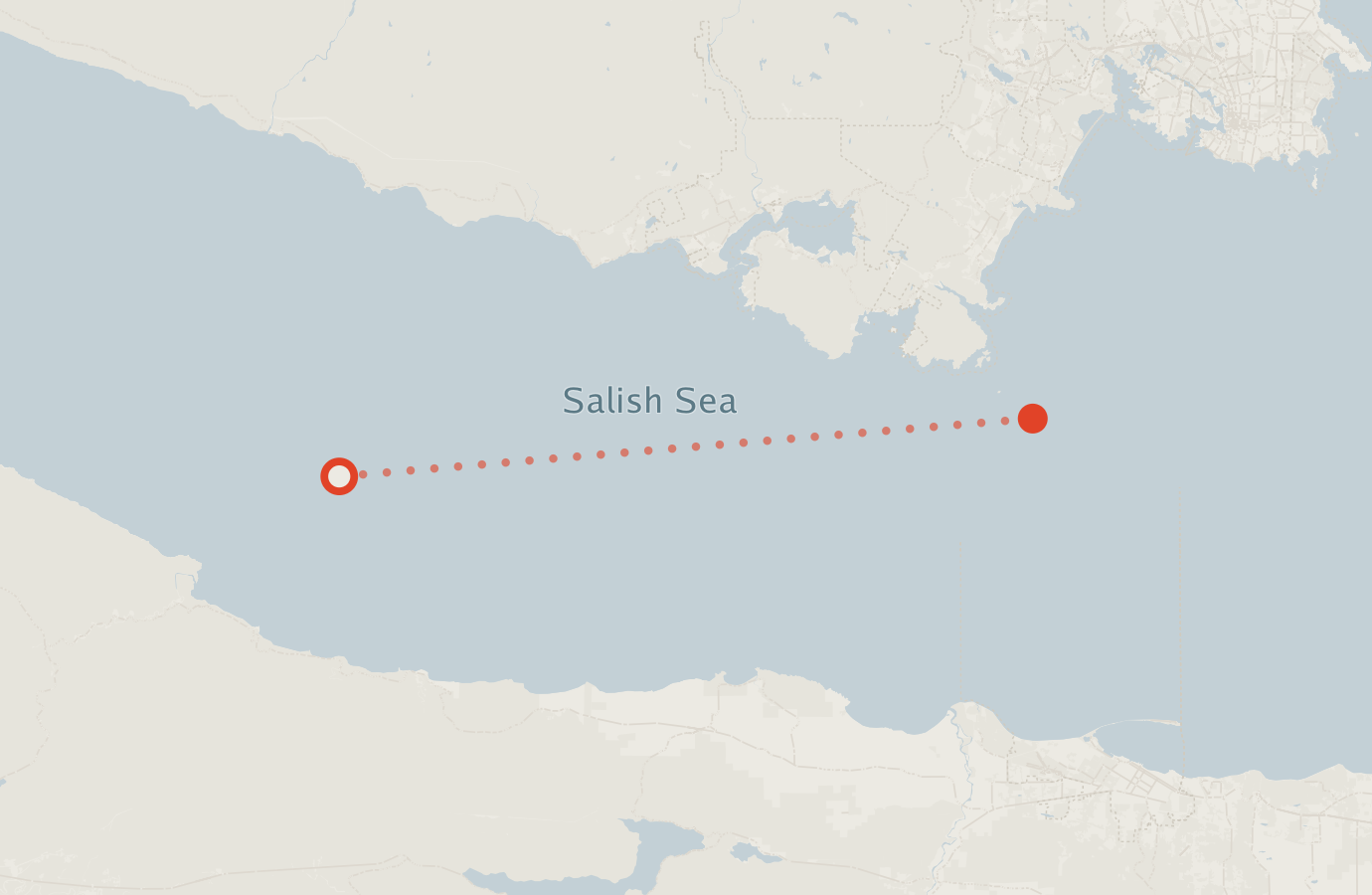 Activity map — real sighting points on an OpenStreetMap basemap