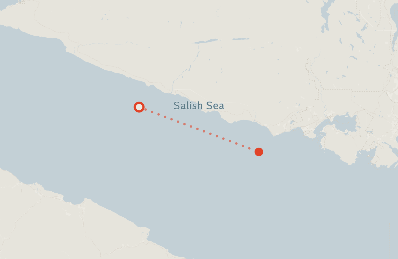 Activity map — real sighting points on an OpenStreetMap basemap