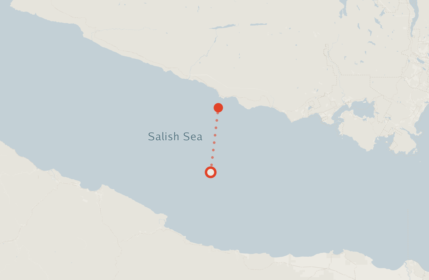 Activity map — real sighting points on an OpenStreetMap basemap