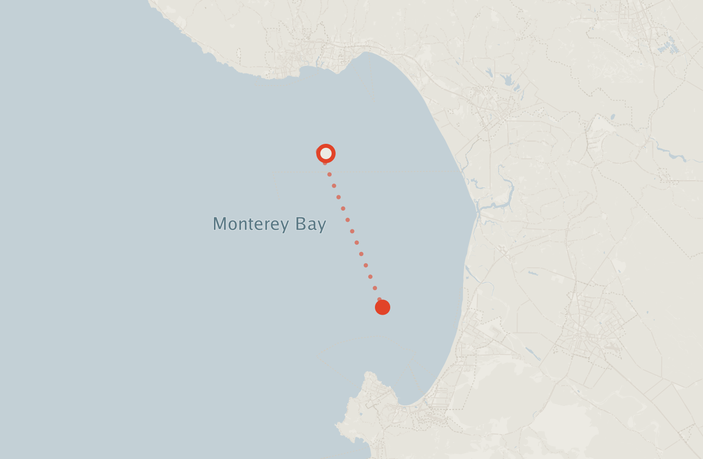 Activity map — real sighting points on an OpenStreetMap basemap