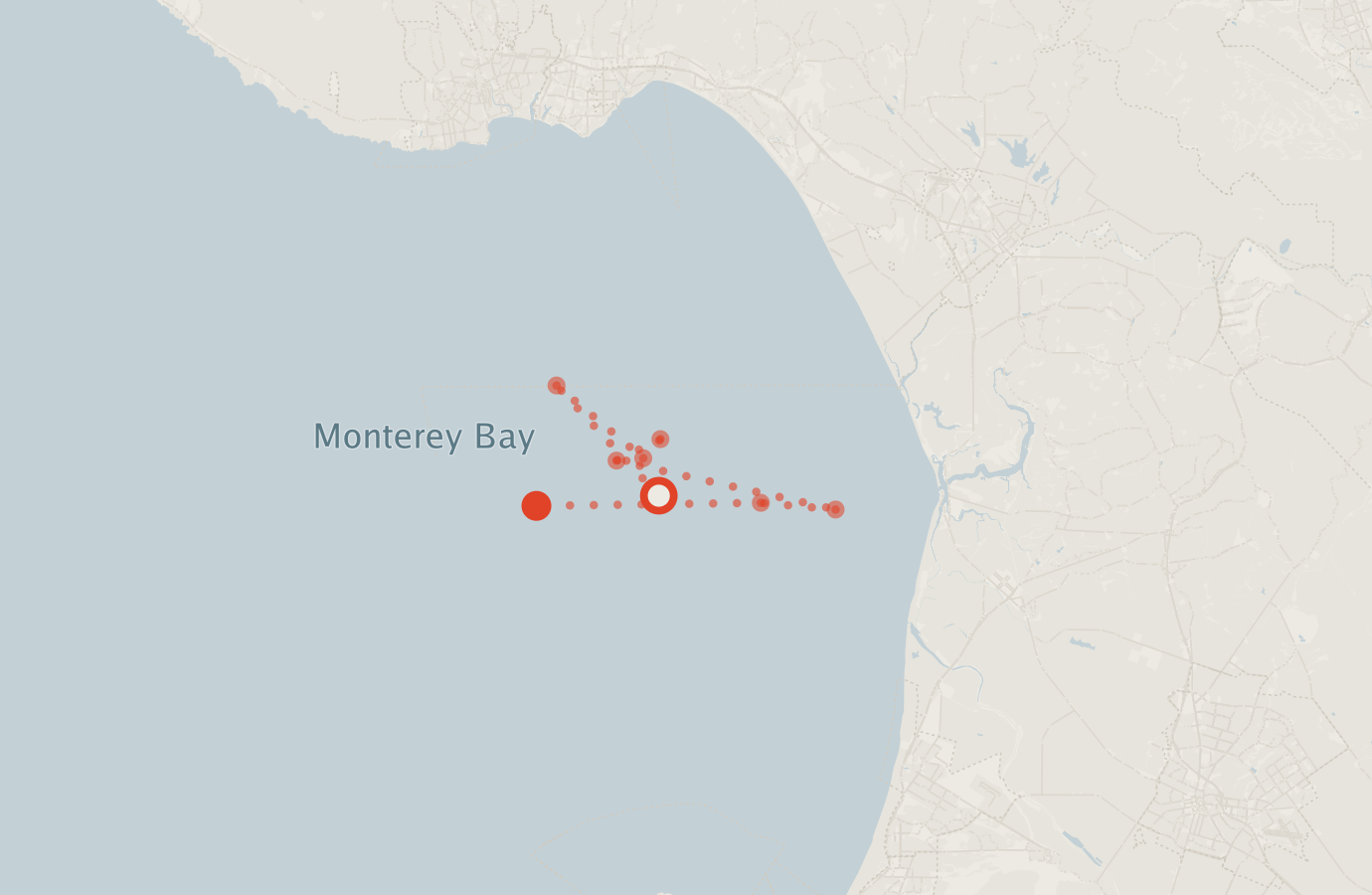 Activity map — real sighting points on an OpenStreetMap basemap