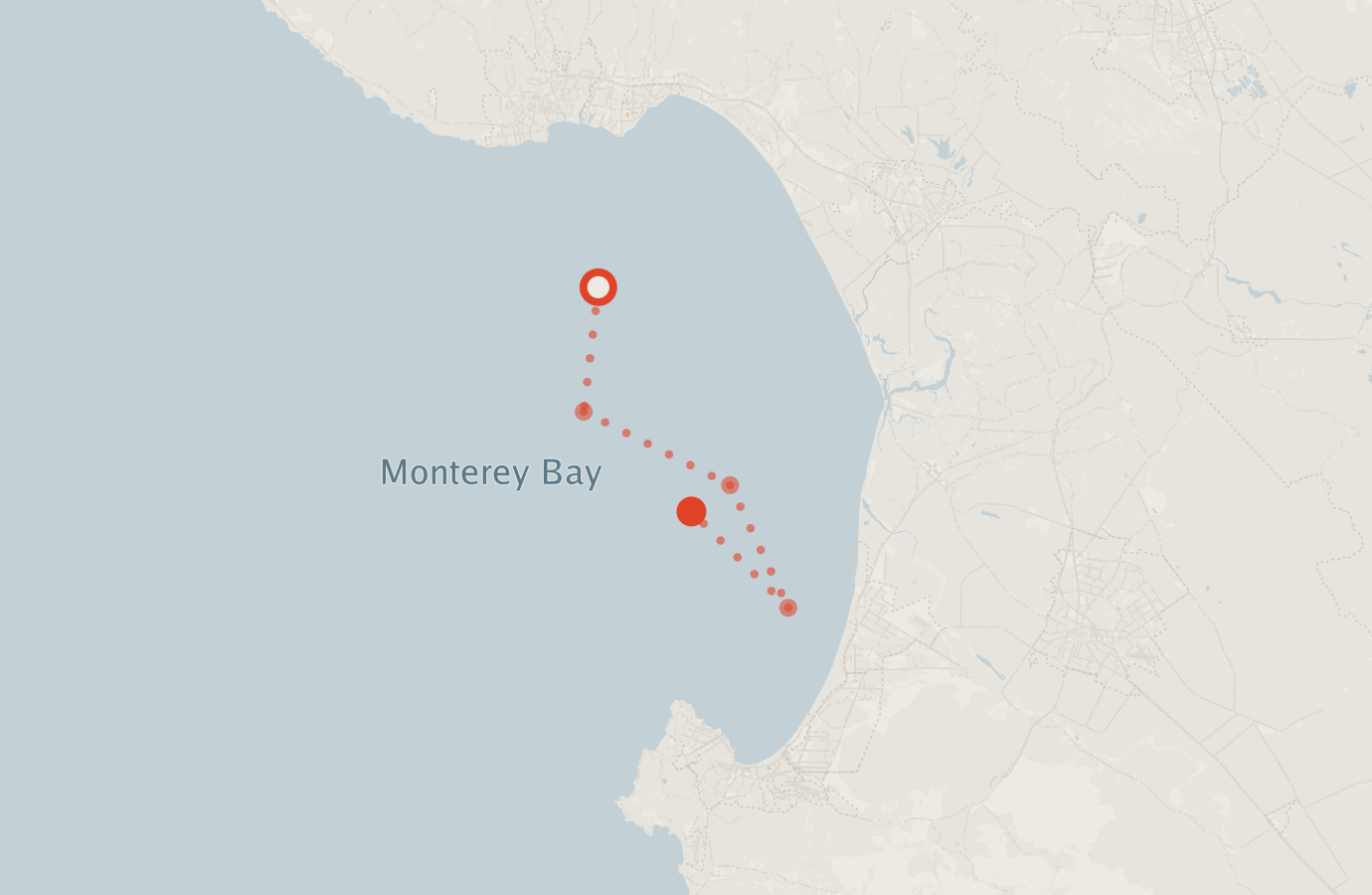 Activity map — real sighting points on an OpenStreetMap basemap