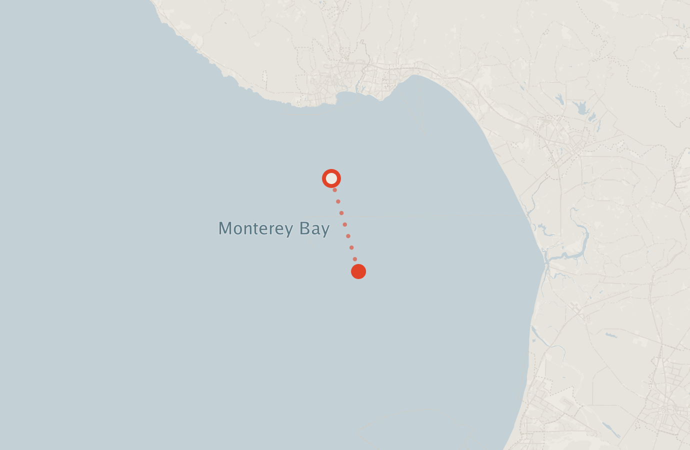 Activity map — real sighting points on an OpenStreetMap basemap