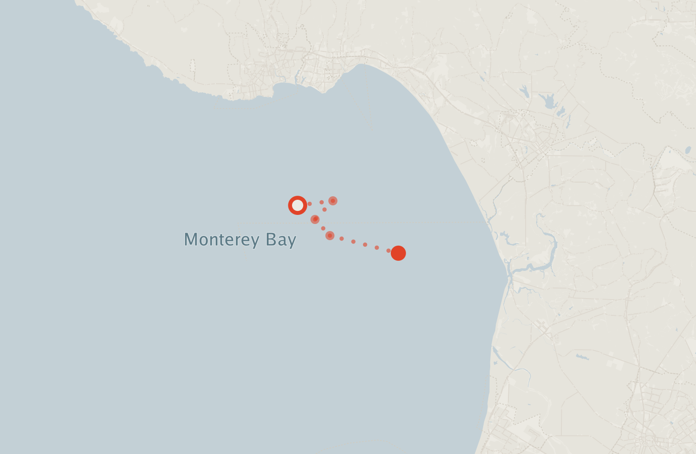 Activity map — real sighting points on an OpenStreetMap basemap