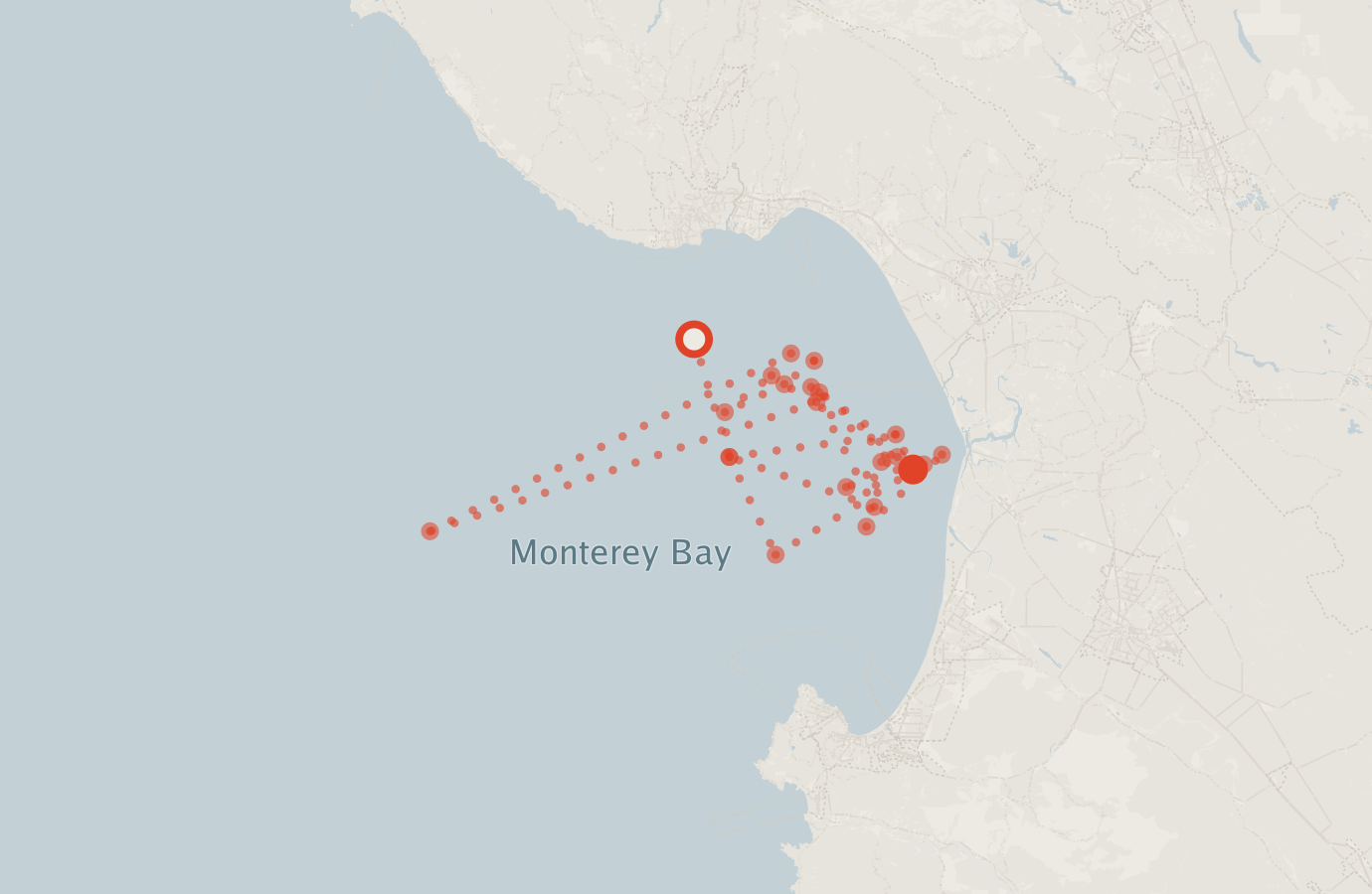 Activity map — real sighting points on an OpenStreetMap basemap