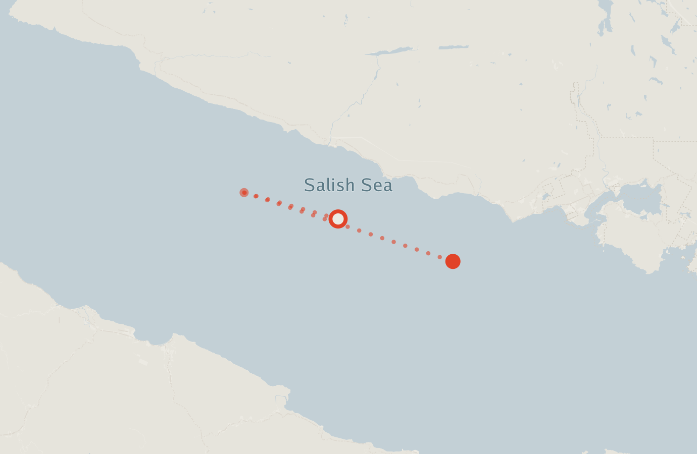 Activity map — real sighting points on an OpenStreetMap basemap