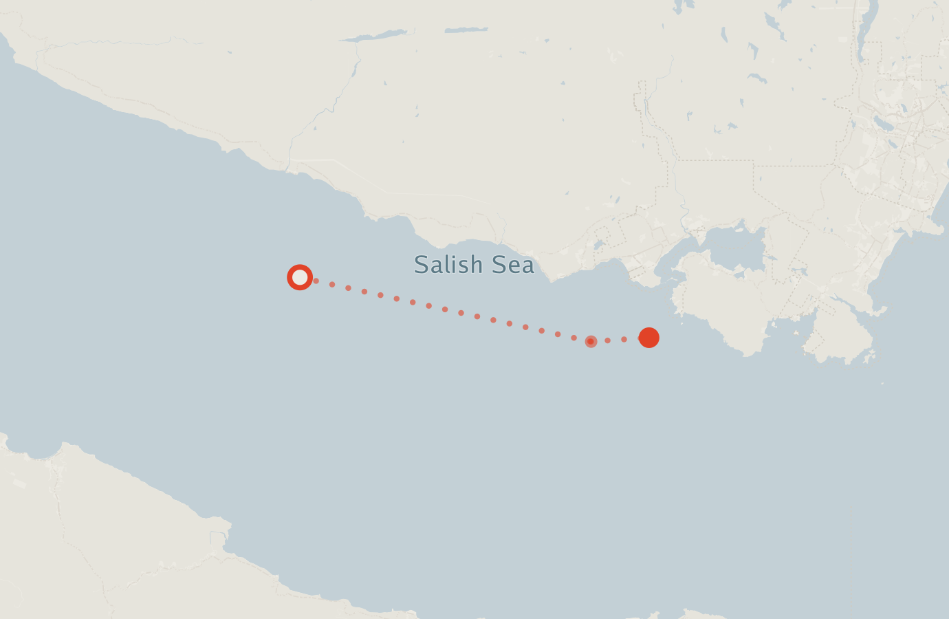 Activity map — real sighting points on an OpenStreetMap basemap