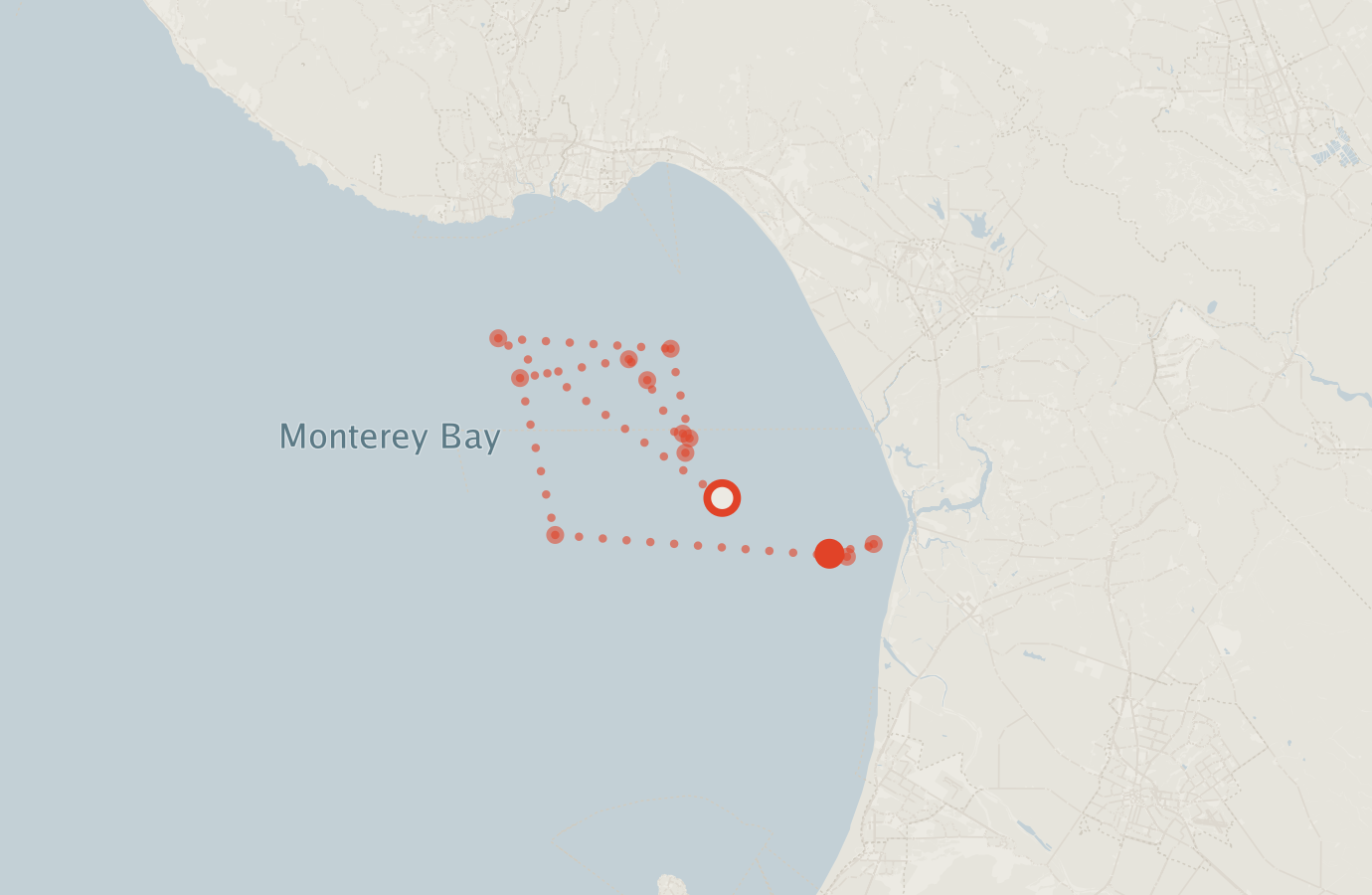 Activity map — real sighting points on an OpenStreetMap basemap