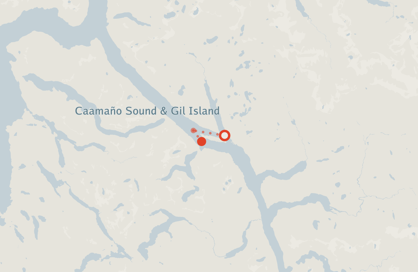 Activity map — real sighting points on an OpenStreetMap basemap