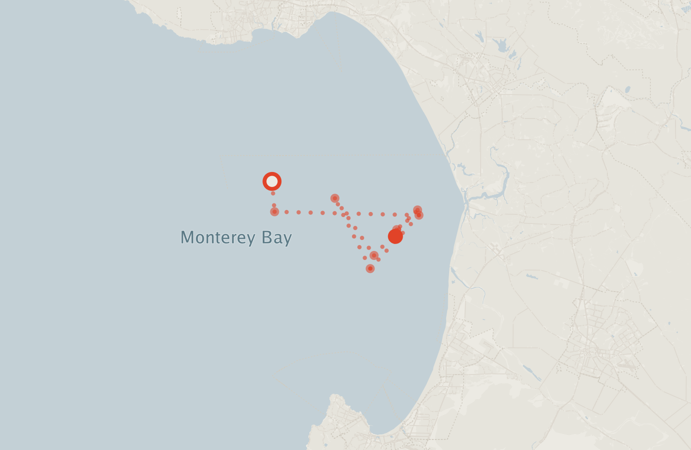 Activity map — real sighting points on an OpenStreetMap basemap