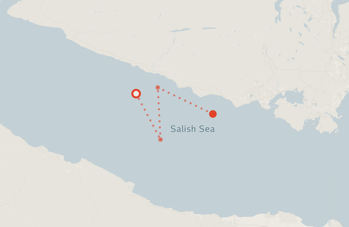 Activity map — real sighting points on an OpenStreetMap basemap