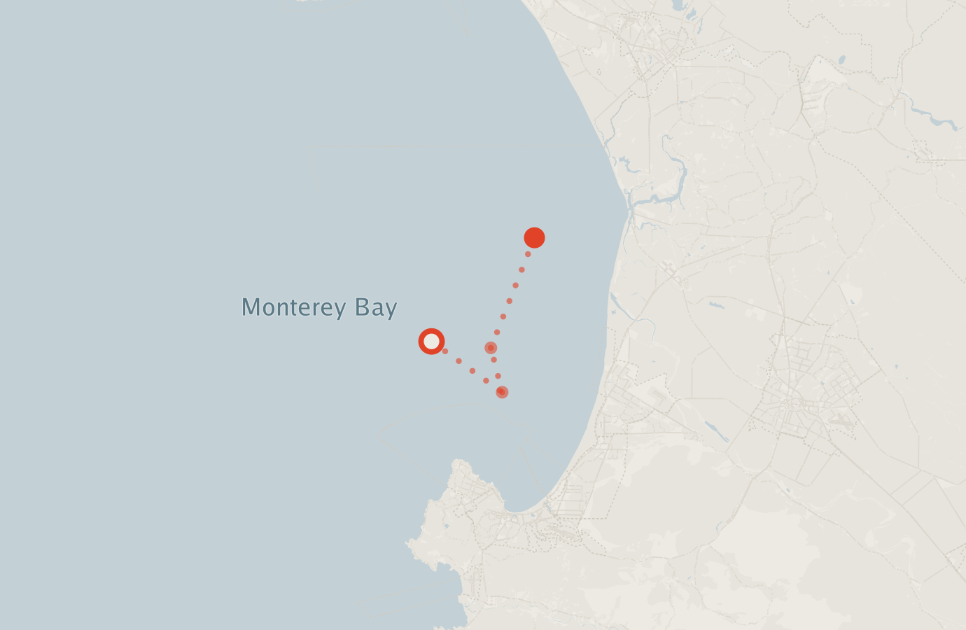 Activity map — real sighting points on an OpenStreetMap basemap