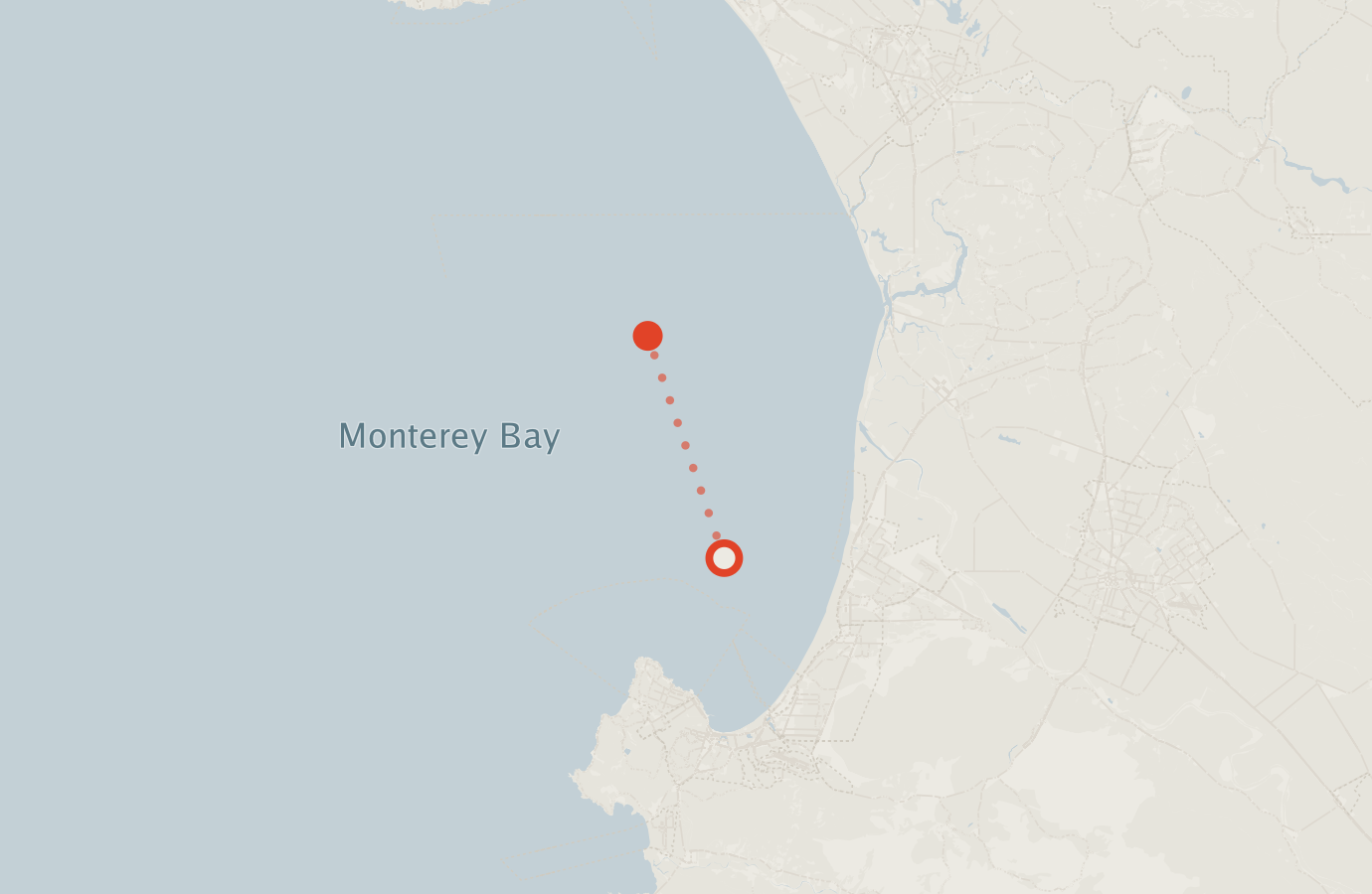 Activity map — real sighting points on an OpenStreetMap basemap
