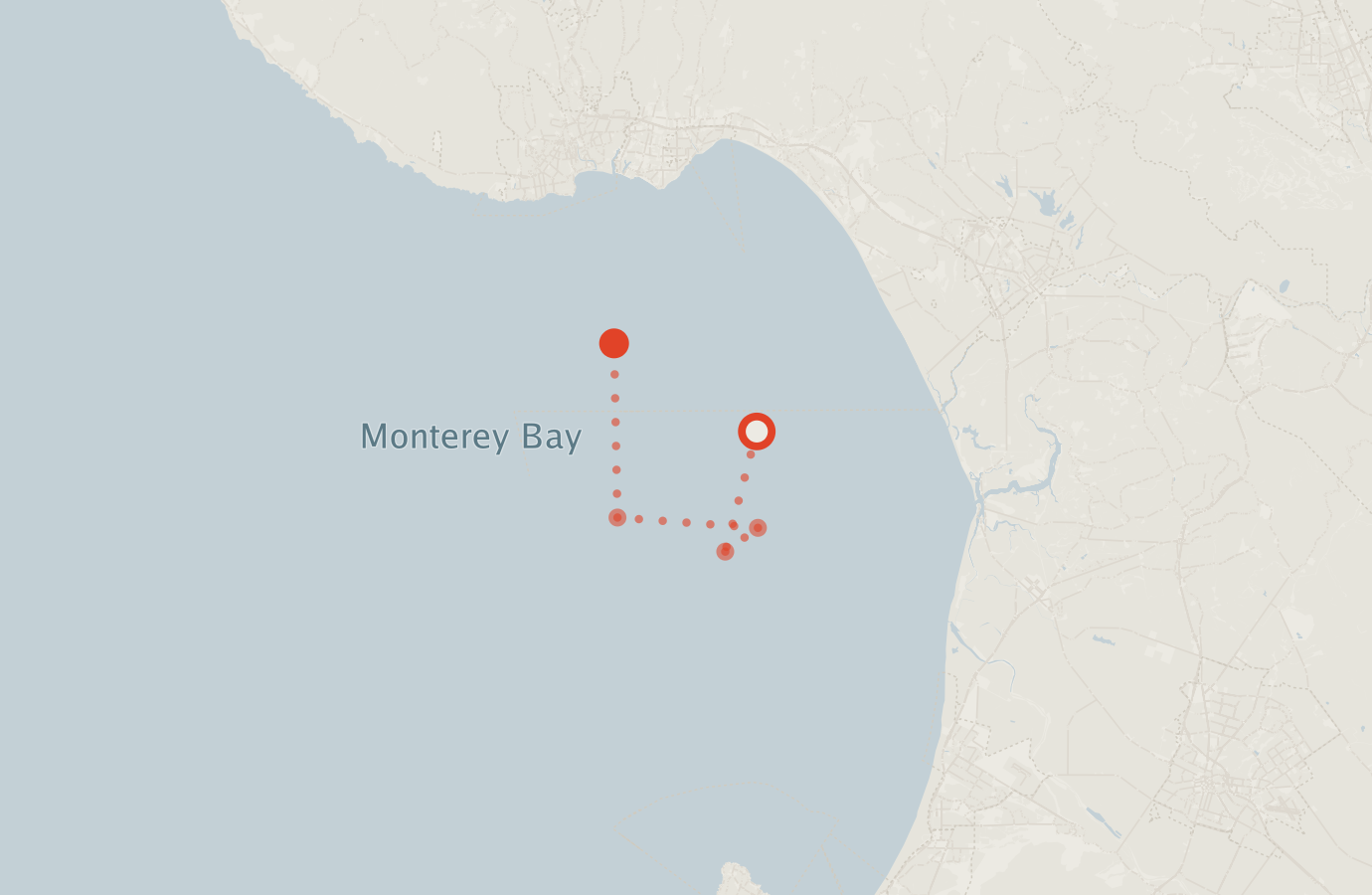 Activity map — real sighting points on an OpenStreetMap basemap