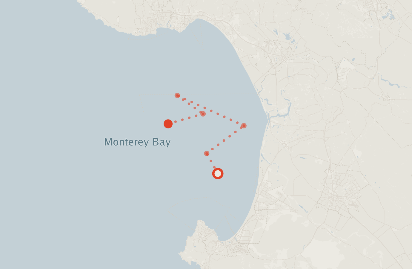 Activity map — real sighting points on an OpenStreetMap basemap