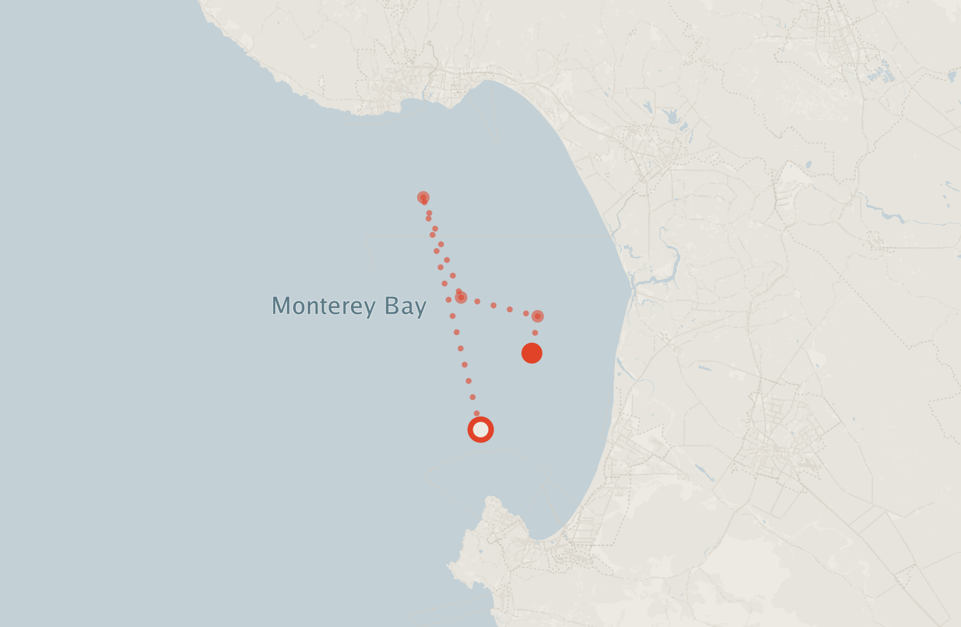 Activity map — real sighting points on an OpenStreetMap basemap