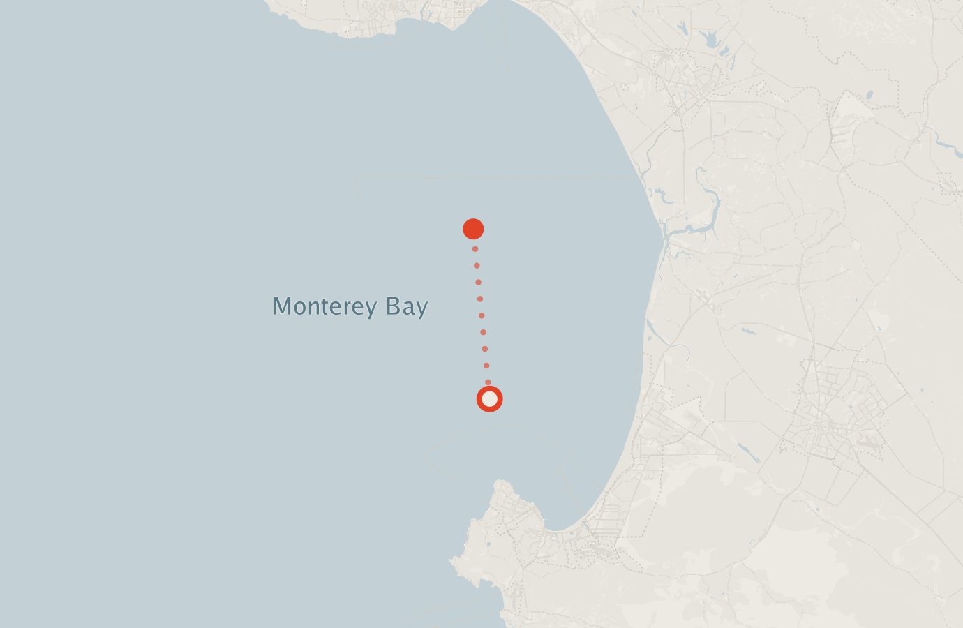 Activity map — real sighting points on an OpenStreetMap basemap