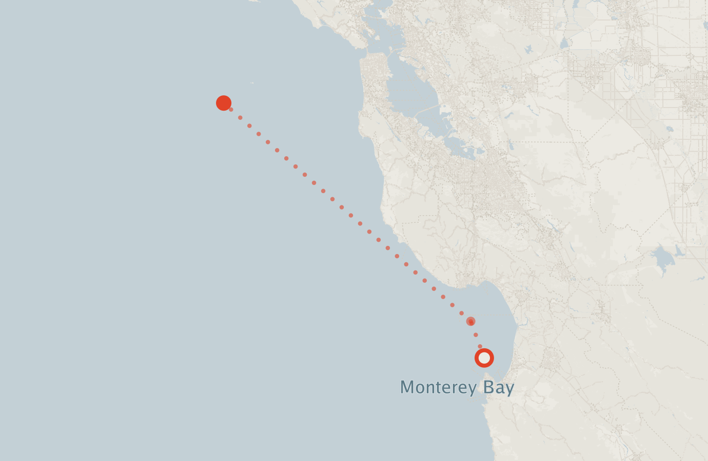 Activity map — real sighting points on an OpenStreetMap basemap