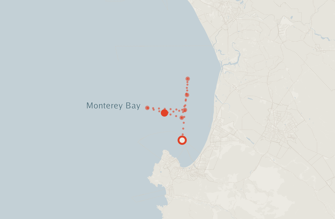 Activity map — real sighting points on an OpenStreetMap basemap
