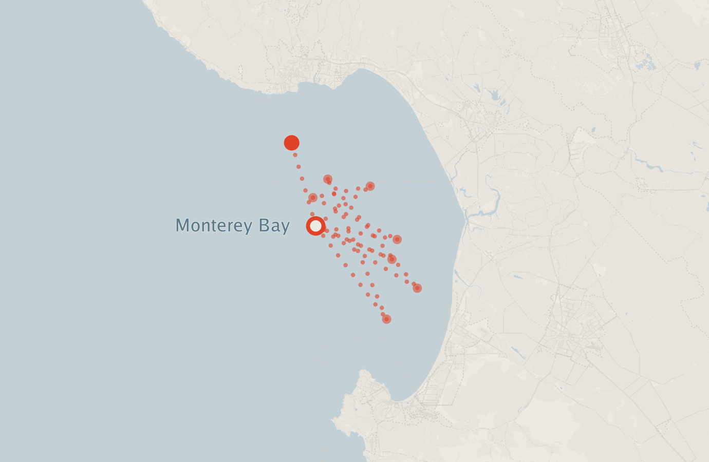 Activity map — real sighting points on an OpenStreetMap basemap